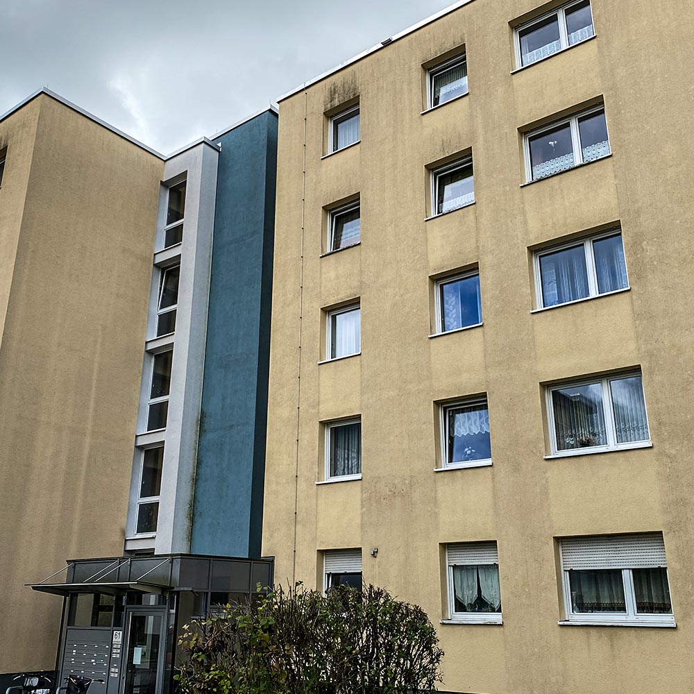 Wohnimmobilie Fassadenreinigung Algenmax vorher