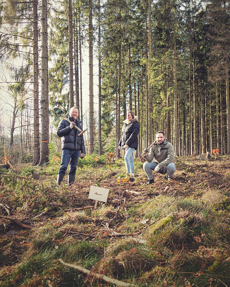 Algenmax Fassadenreinigung - Klimaschutzprojekt