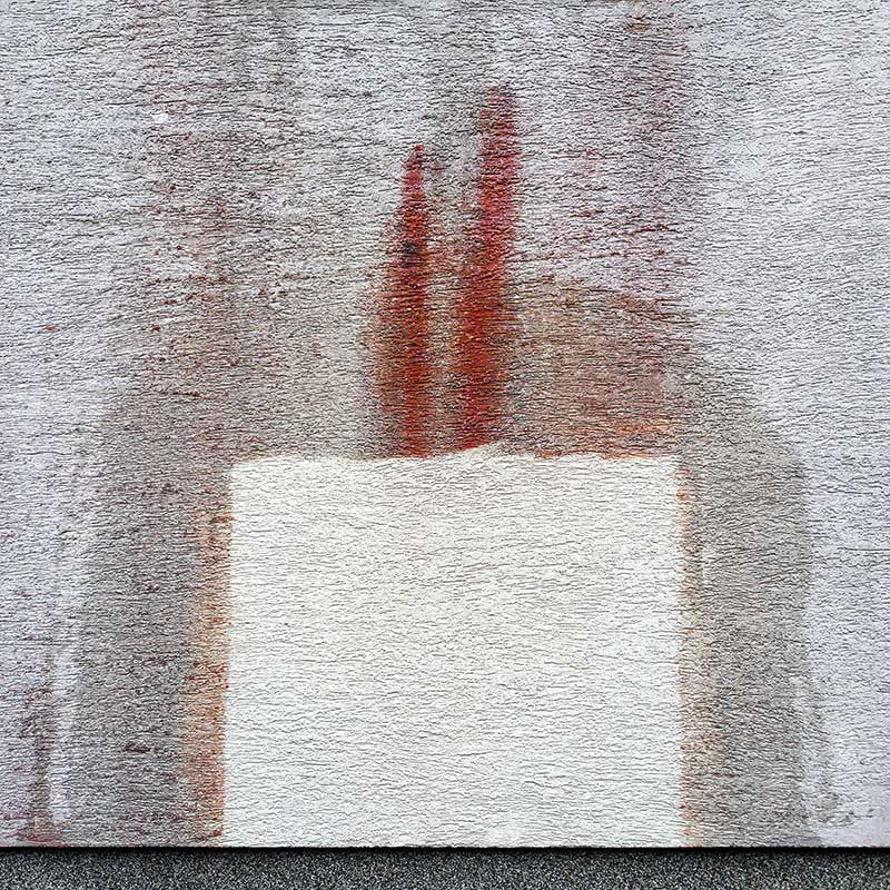 Fassadenreinigung von Rotalgen Testfläche