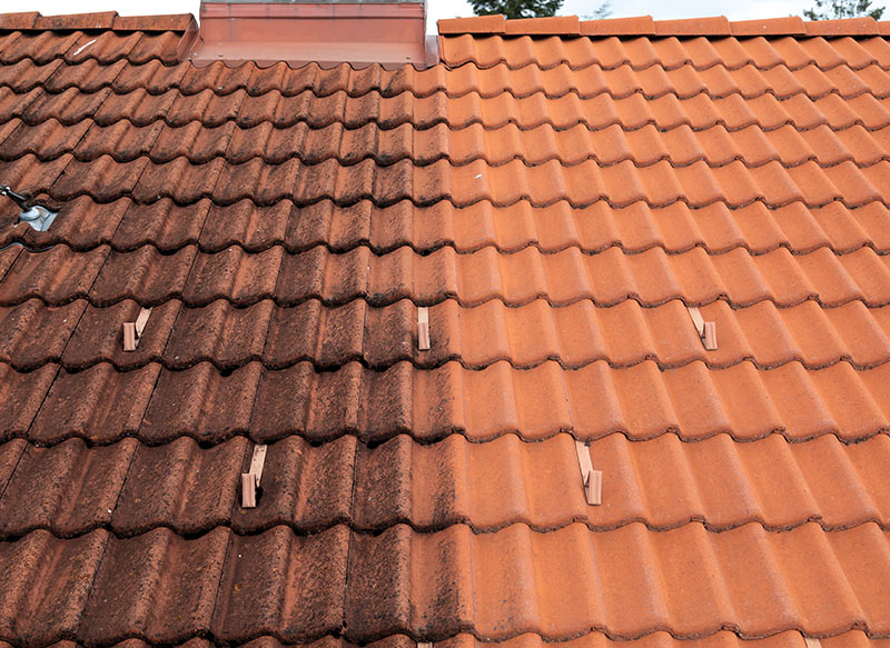 Dachreinigung Dachmax Nahaufnahme