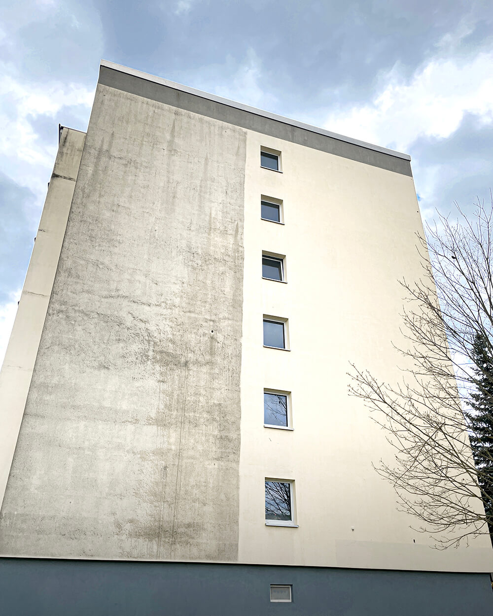 Algenmax Fassadenreinigung Österreich 01